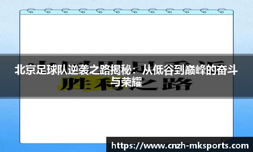 mk体育登录入口